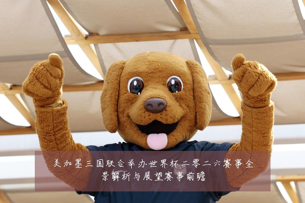 美加墨三国联合举办世界杯二零二六赛事全景解析与展望赛事前瞻